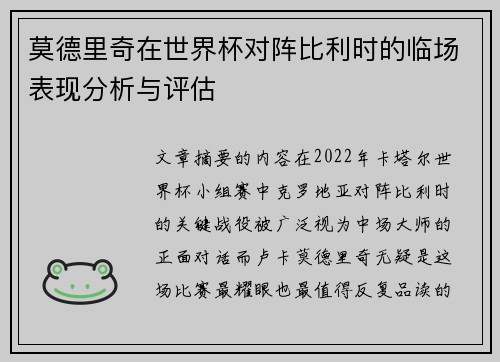 莫德里奇在世界杯对阵比利时的临场表现分析与评估